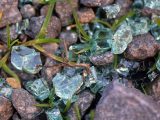 piedras y cristales btc bch ltc dash Sostenibilidad