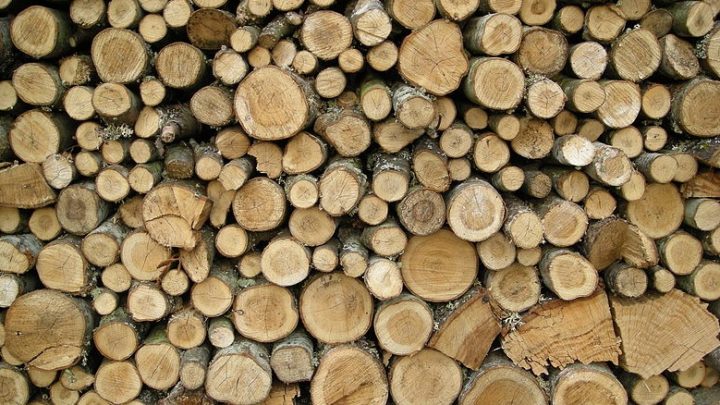 MADERA