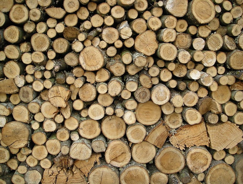 MADERA