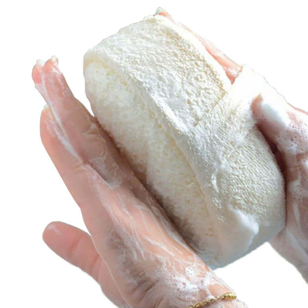 Esponja Natural de LUFFA Biodegradable - ComprarSinPlástico.com